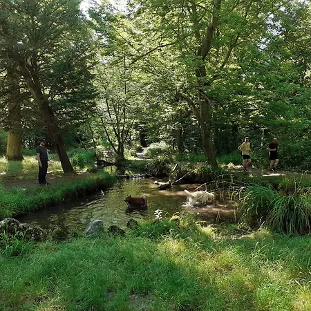 Maison Individuelle Avec Terrasse Sur Marne * Nogent-sur-Seine